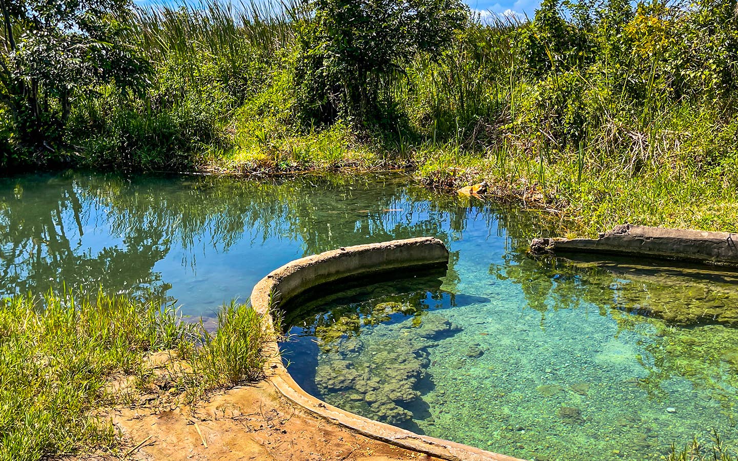 Manantial Tortuguero Spring